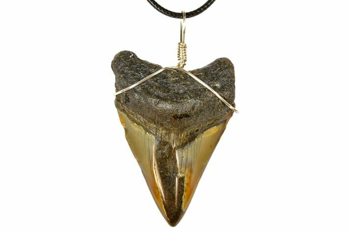 Fossil Megalodon Tooth Necklace #130926
